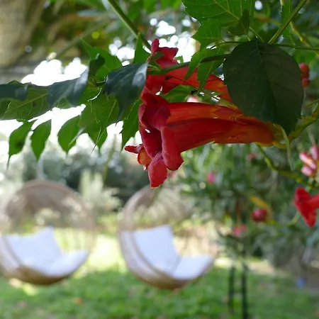 Bed & Breakfast Maison Galatea